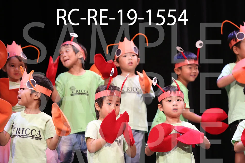 RC-RE-19-1554.jpg