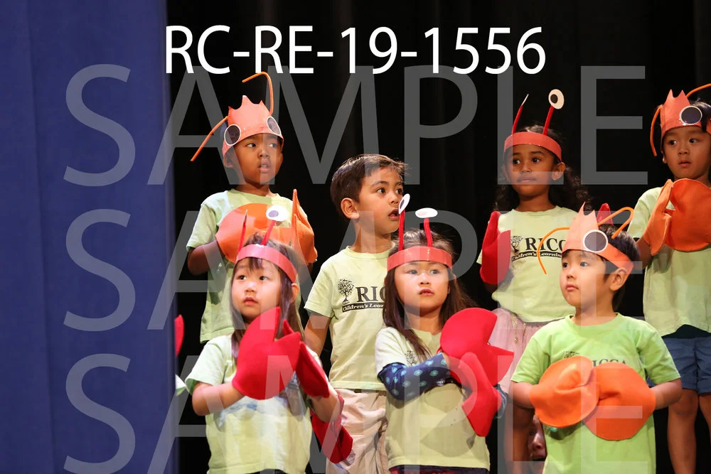 RC-RE-19-1556.jpg