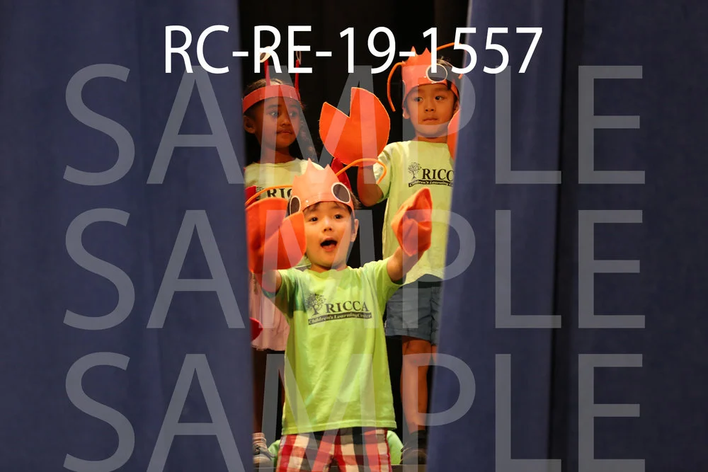 RC-RE-19-1557.jpg