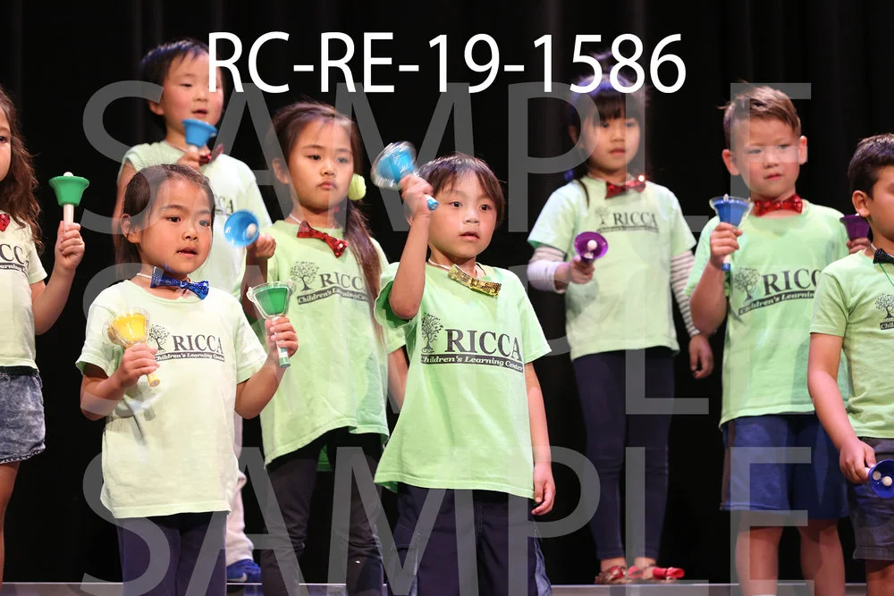 RC-RE-19-1586.jpg