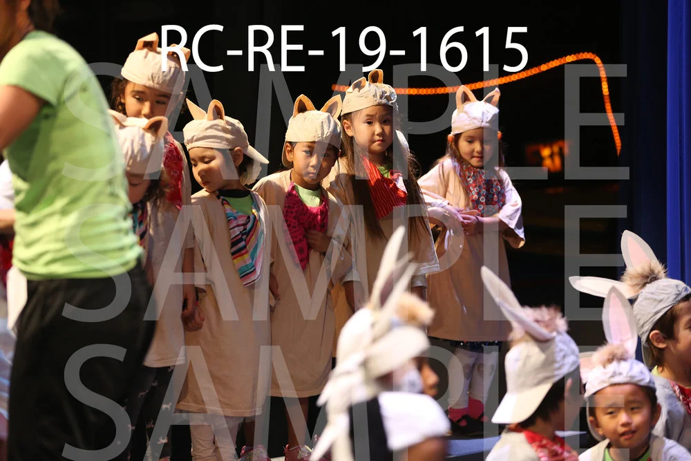 RC-RE-19-1615.jpg