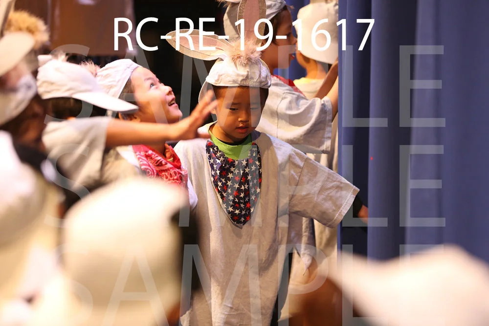 RC-RE-19-1617.jpg