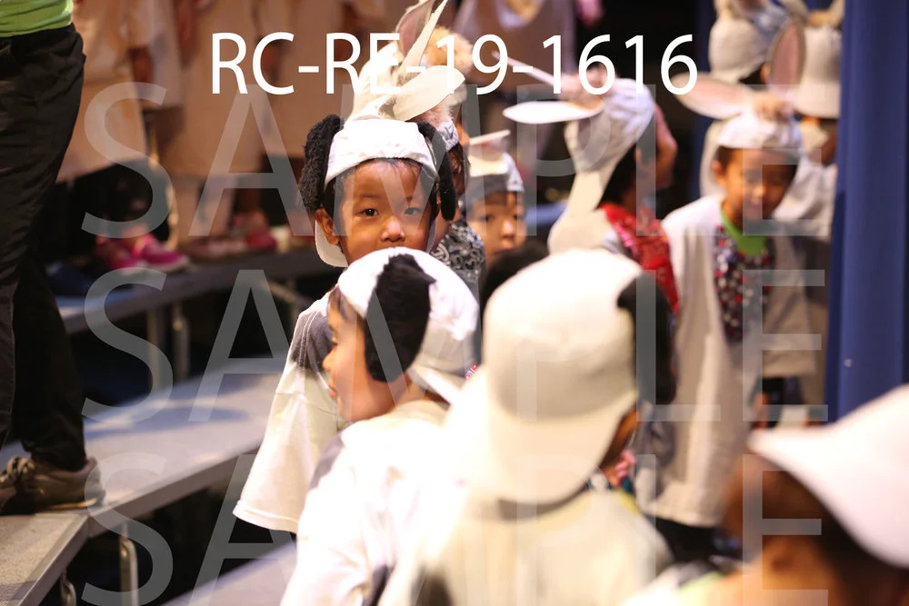 RC-RE-19-1616.jpg