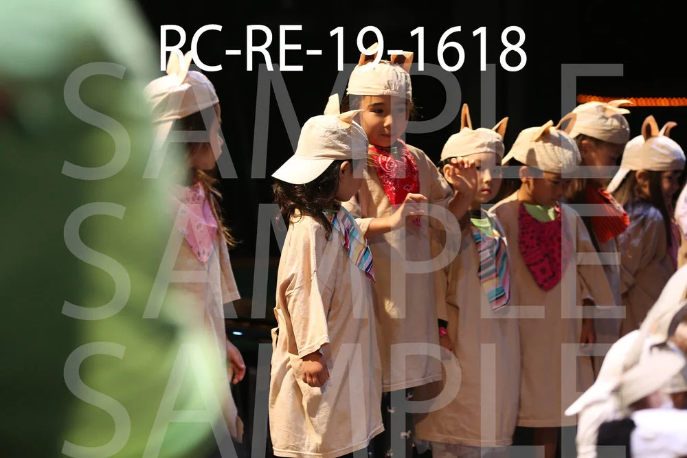 RC-RE-19-1618.jpg