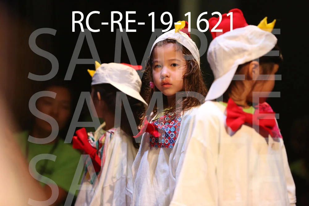 RC-RE-19-1621.jpg