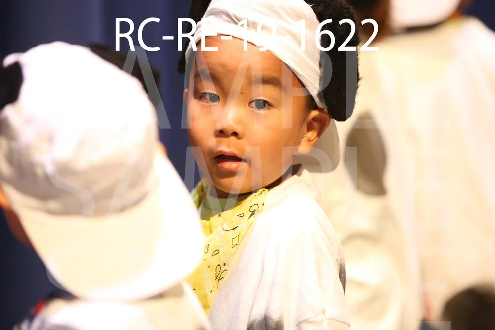 RC-RE-19-1622.jpg