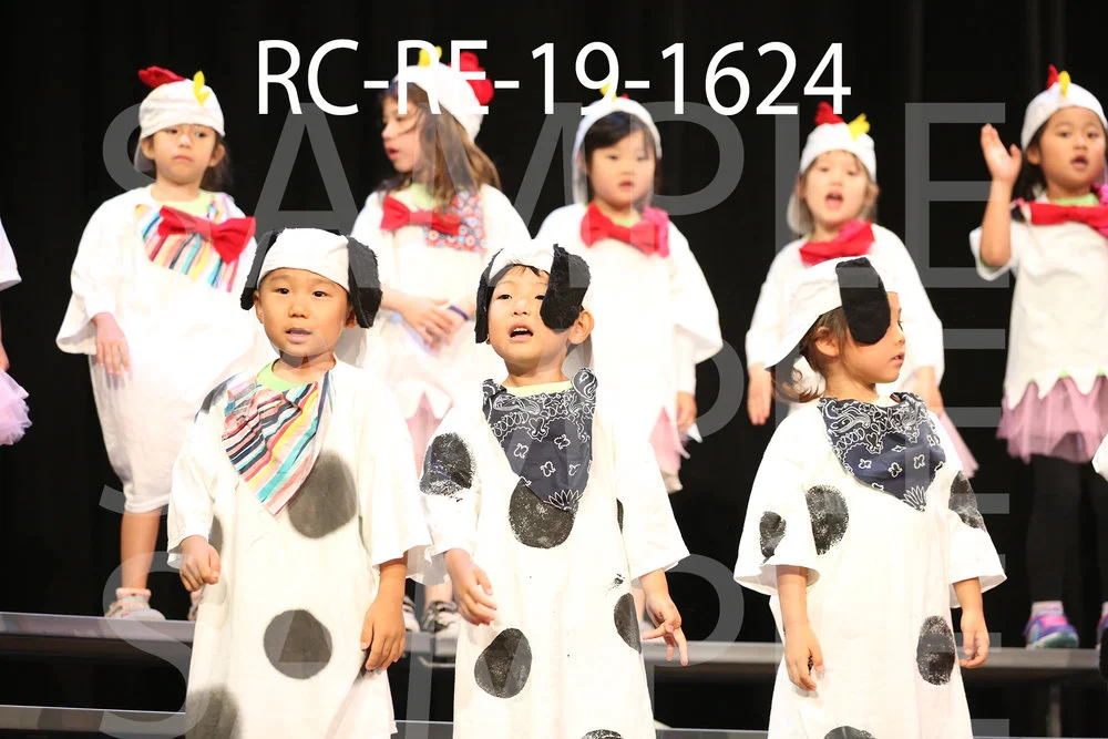 RC-RE-19-1624.jpg