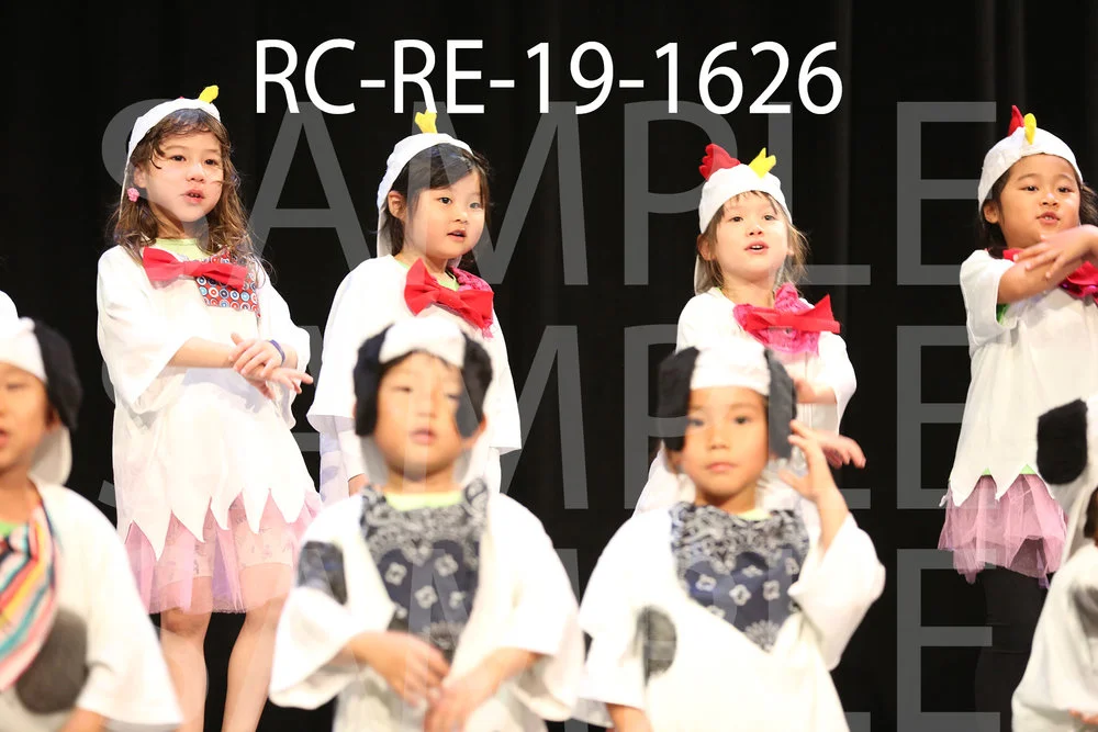 RC-RE-19-1626.jpg