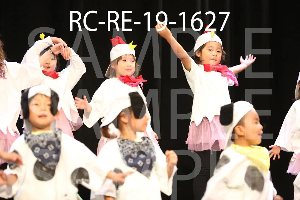 RC-RE-19-1627.jpg