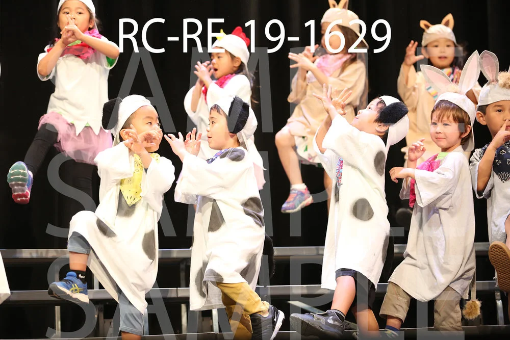 RC-RE-19-1629.jpg