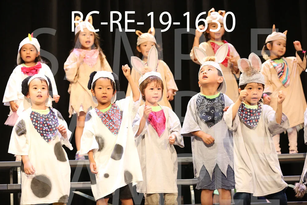 RC-RE-19-1630.jpg