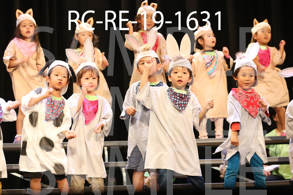 RC-RE-19-1631.jpg