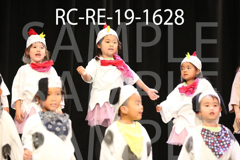 RC-RE-19-1628.jpg