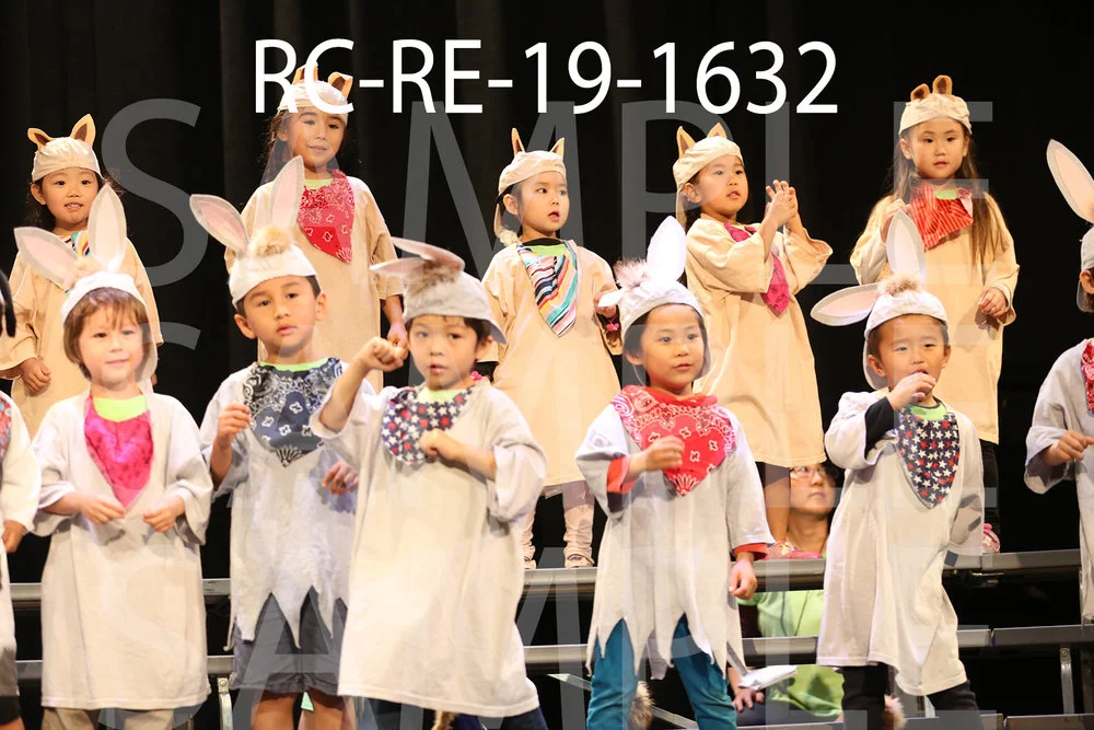 RC-RE-19-1632.jpg
