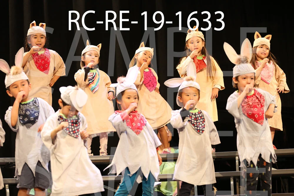 RC-RE-19-1633.jpg