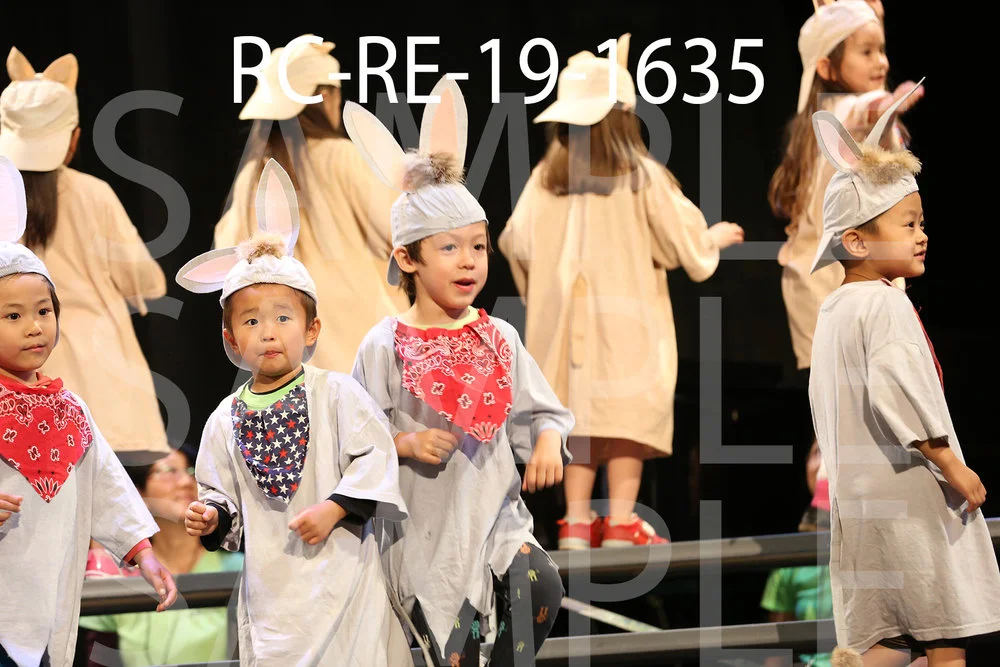 RC-RE-19-1635.jpg
