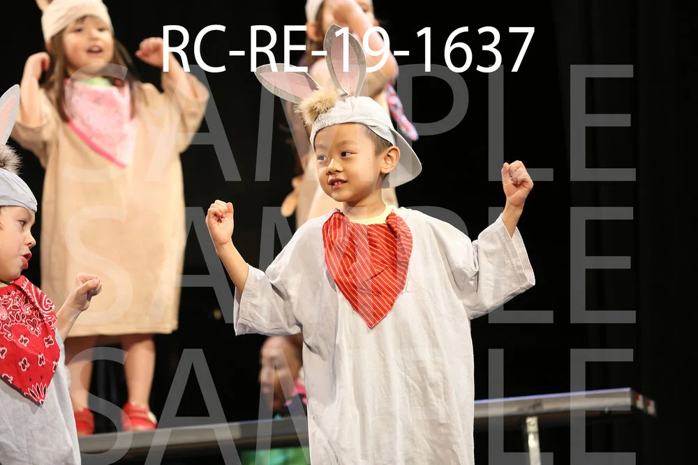 RC-RE-19-1637.jpg