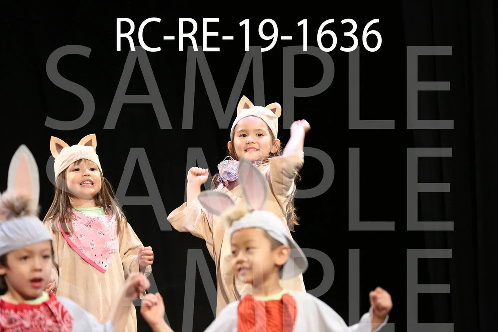 RC-RE-19-1636.jpg