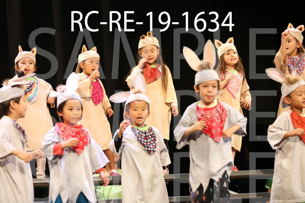 RC-RE-19-1634.jpg