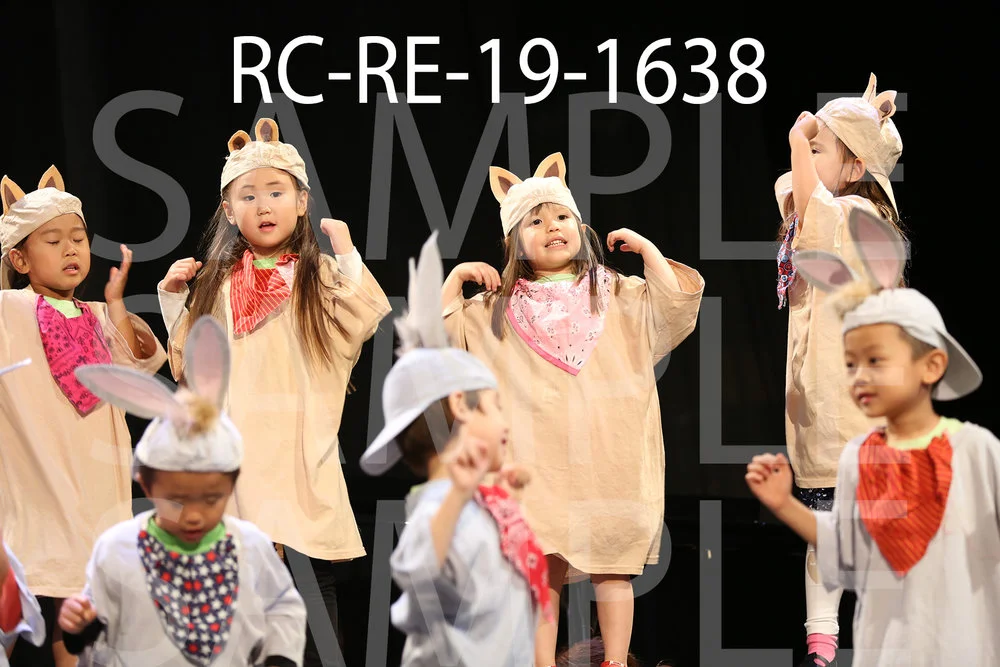 RC-RE-19-1638.jpg