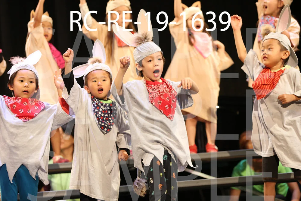 RC-RE-19-1639.jpg