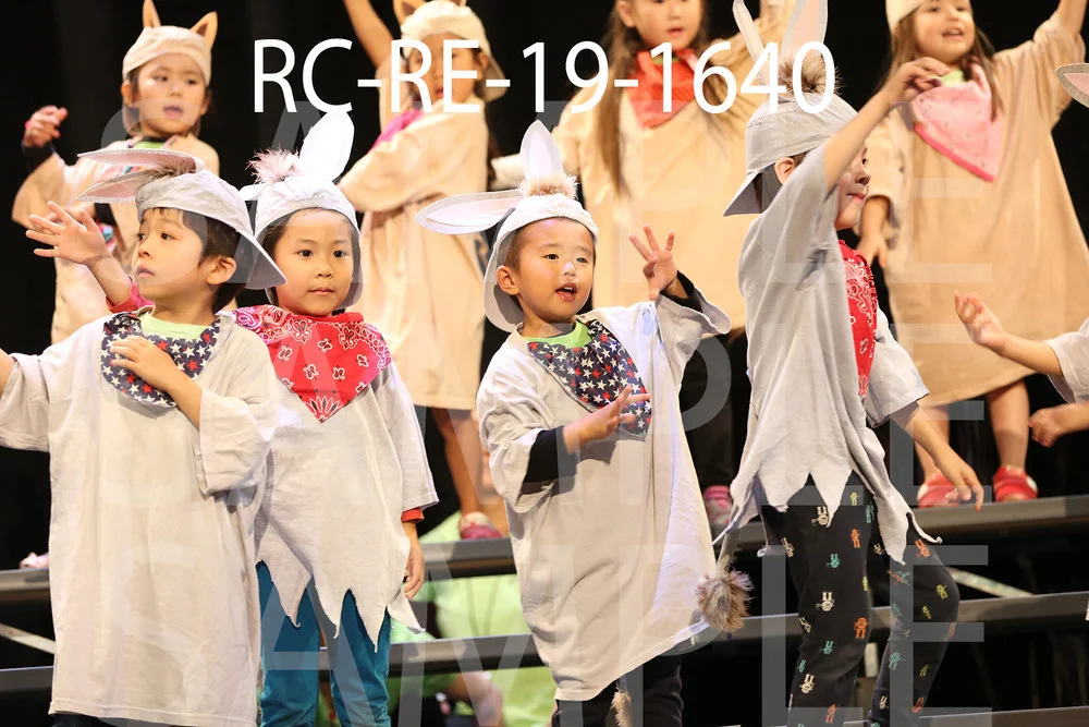 RC-RE-19-1640.jpg