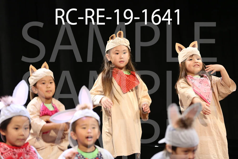RC-RE-19-1641.jpg