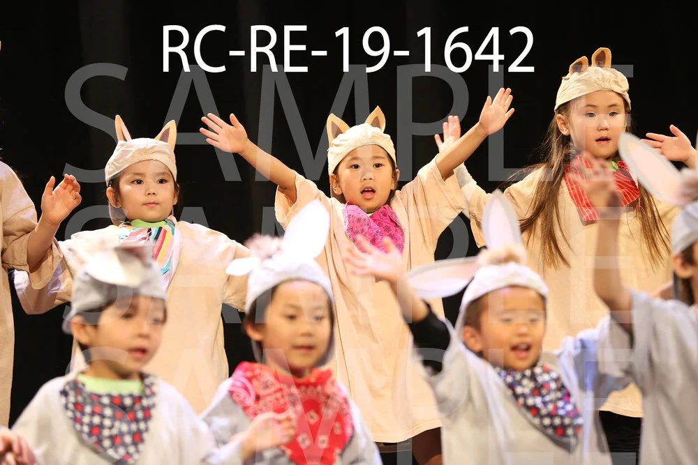 RC-RE-19-1642.jpg