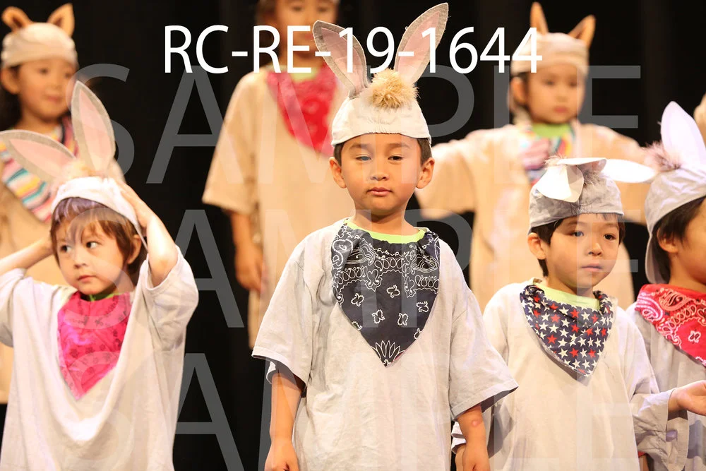 RC-RE-19-1644.jpg