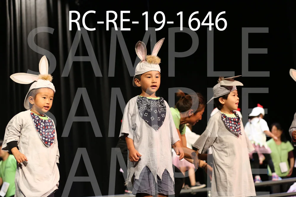 RC-RE-19-1646.jpg