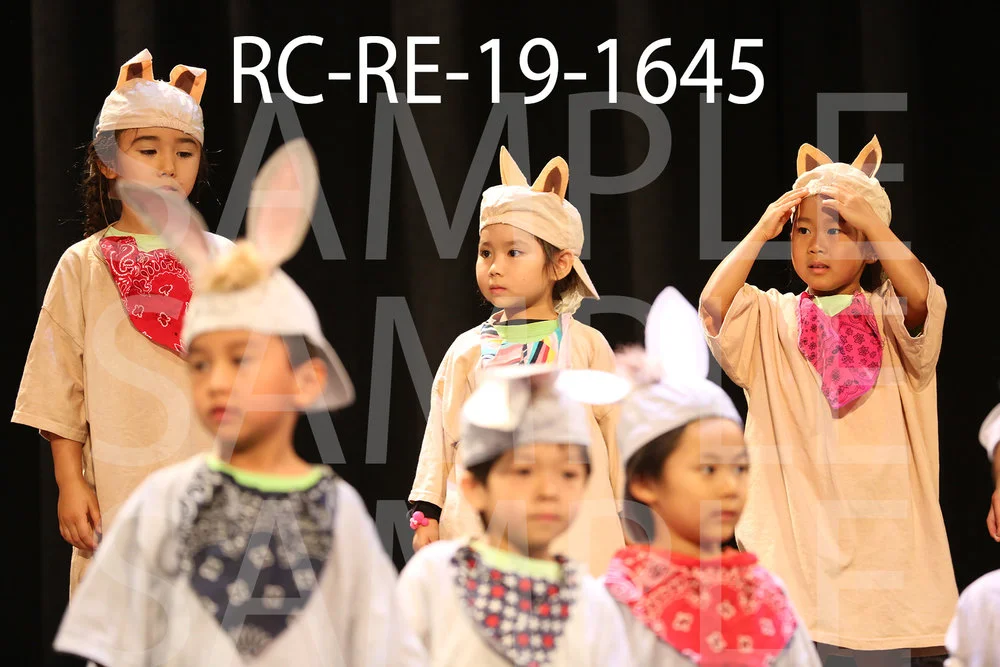 RC-RE-19-1645.jpg