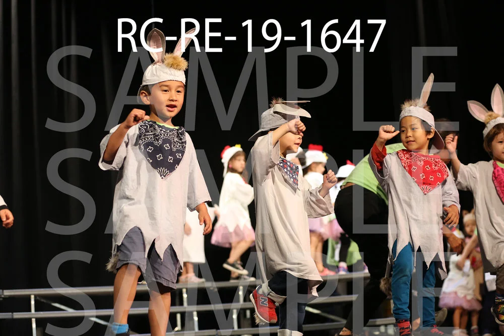 RC-RE-19-1647.jpg