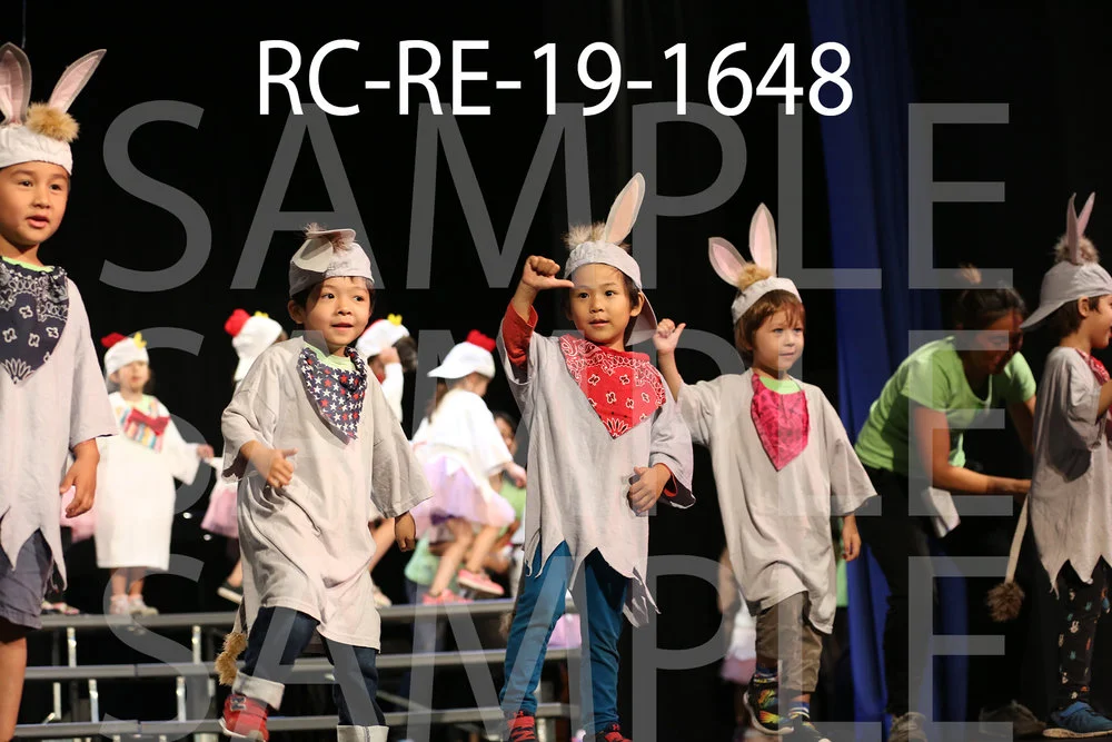 RC-RE-19-1648.jpg