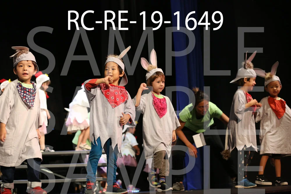RC-RE-19-1649.jpg