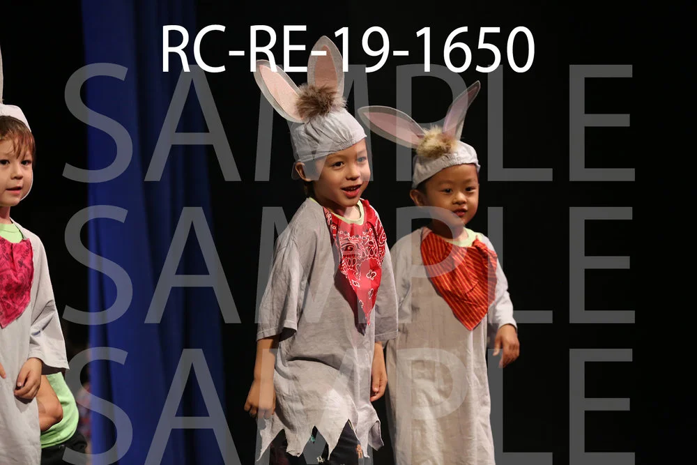 RC-RE-19-1650.jpg