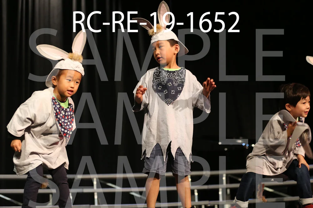 RC-RE-19-1652.jpg