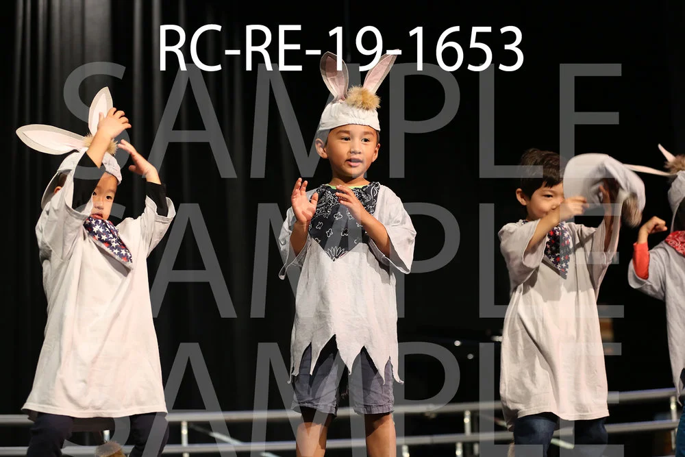 RC-RE-19-1653.jpg