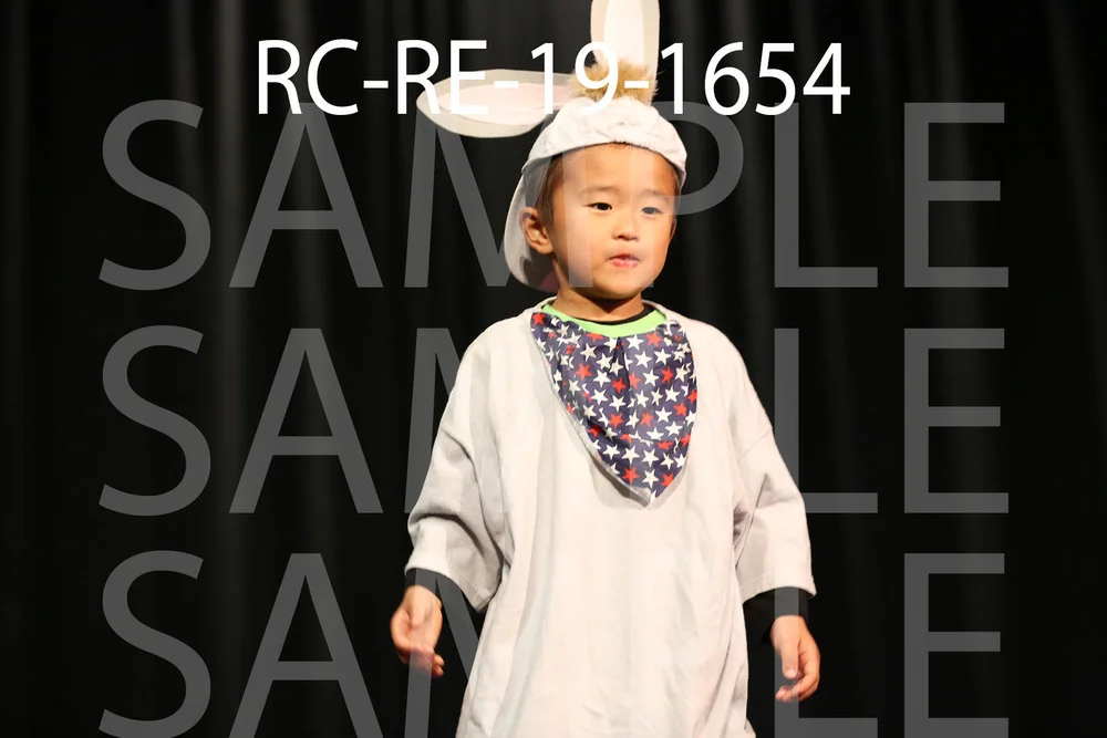 RC-RE-19-1654.jpg