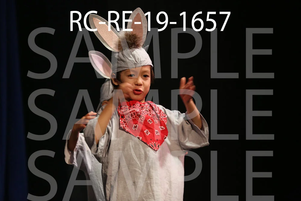 RC-RE-19-1657.jpg