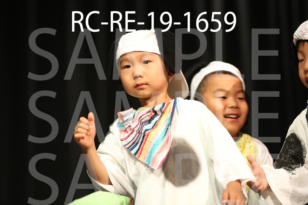 RC-RE-19-1659.jpg