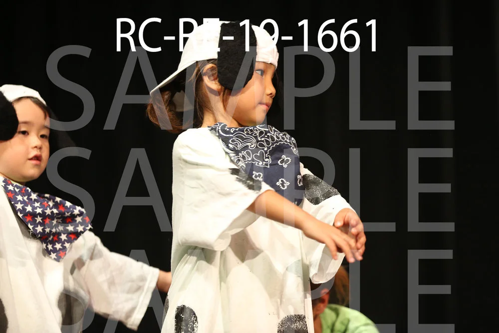 RC-RE-19-1661.jpg