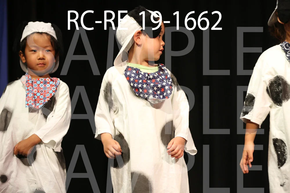 RC-RE-19-1662.jpg