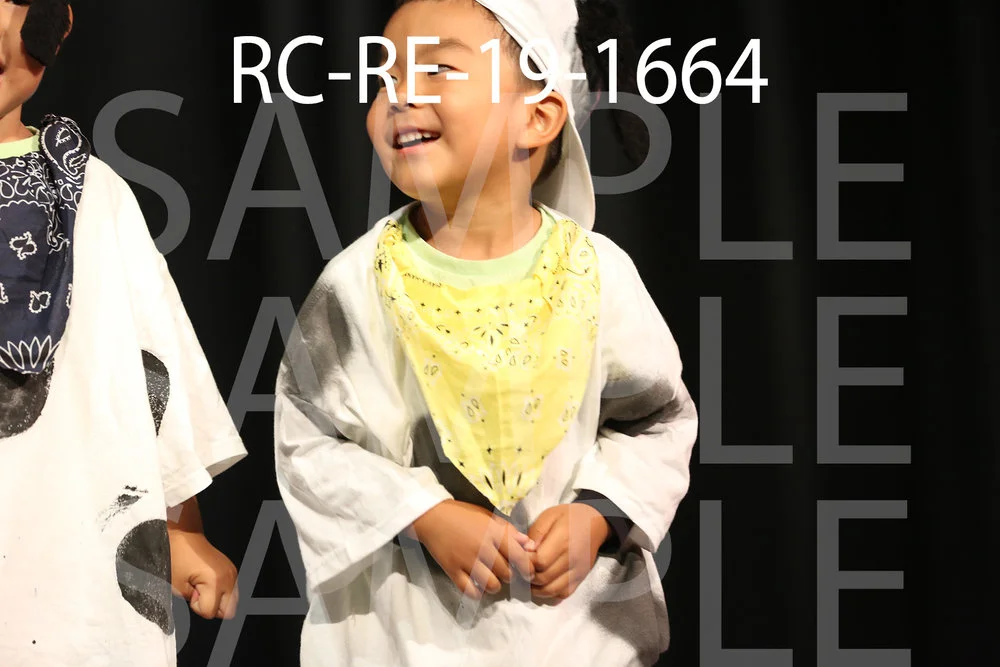 RC-RE-19-1664.jpg
