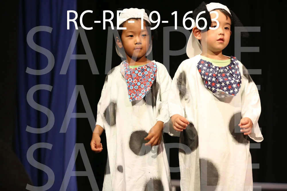 RC-RE-19-1663.jpg