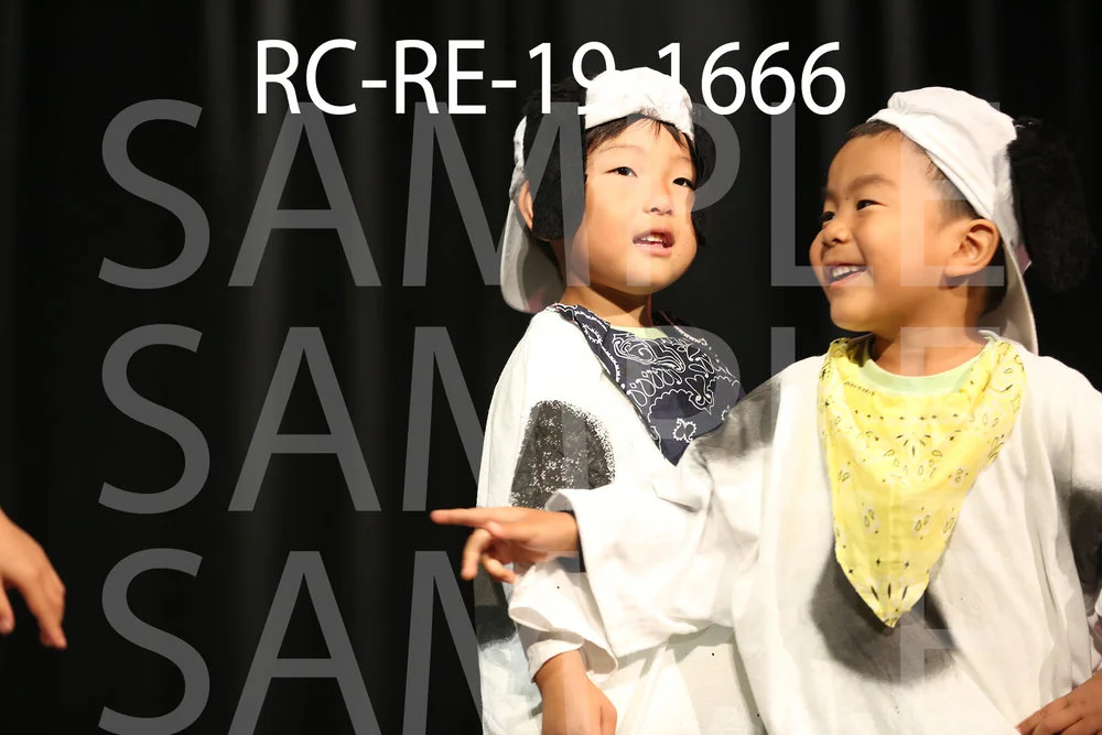 RC-RE-19-1666.jpg