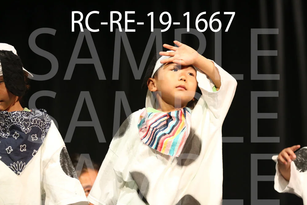 RC-RE-19-1667.jpg
