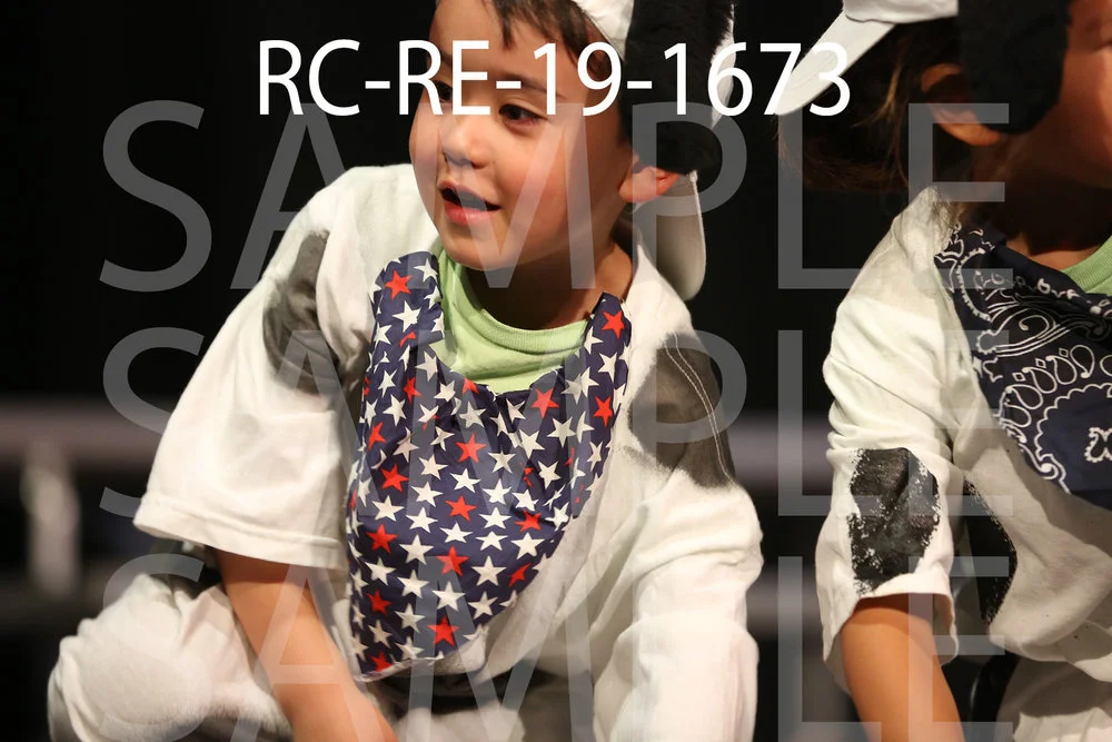 RC-RE-19-1673.jpg