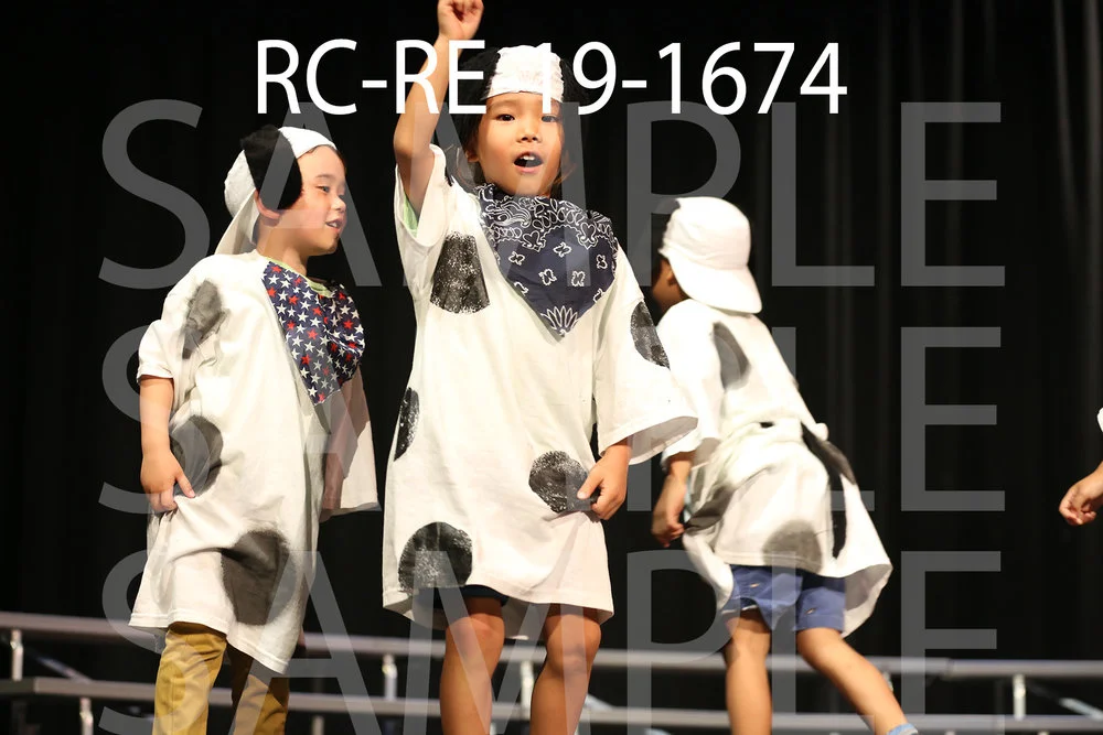 RC-RE-19-1674.jpg