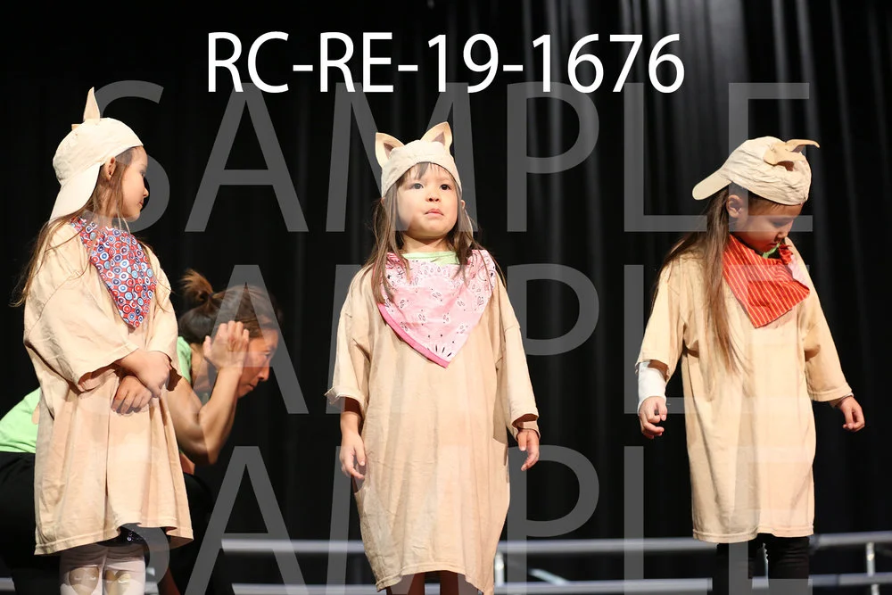 RC-RE-19-1676.jpg