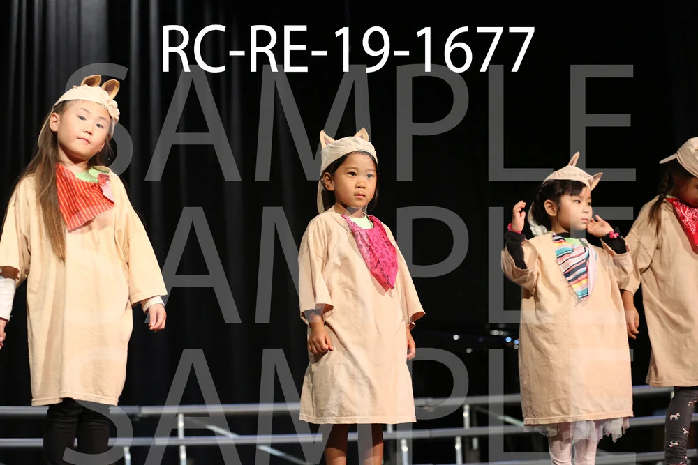 RC-RE-19-1677.jpg
